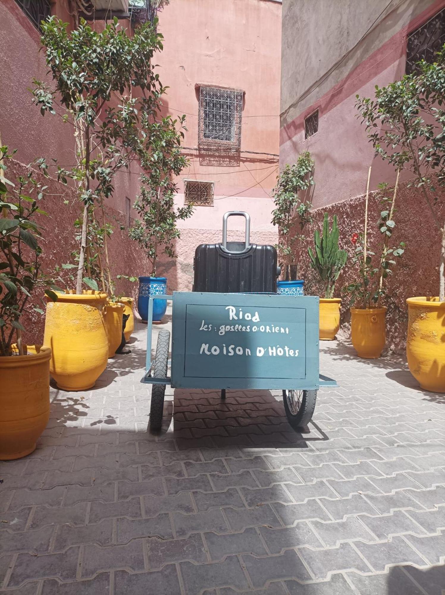 Riad Les Gazelles D'Orient Marrakech 마라케시 외부 사진